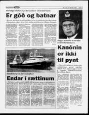 Síða 5