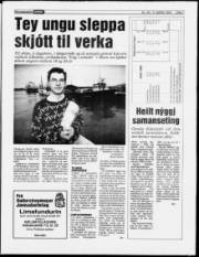 Síða 7