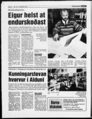 Síða 8