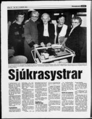Síða 10