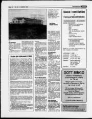Síða 12