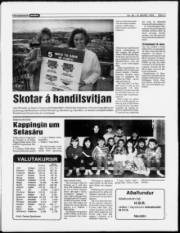 Síða 3