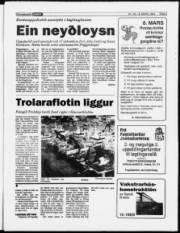 Síða 5