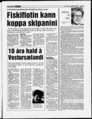 Síða 7