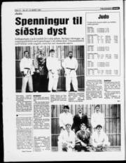 Síða 12