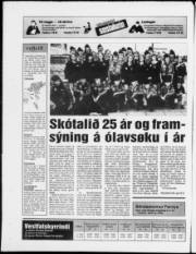 Síða 20