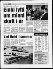 Síða 3
