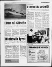 Síða 4