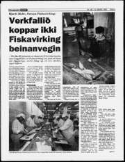Síða 5