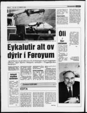 Síða 6