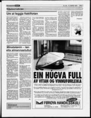 Síða 7