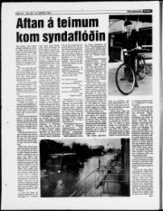 Síða 14