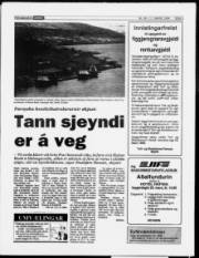Síða 5