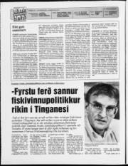 Síða 2