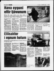 Síða 5