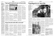 Síða 5