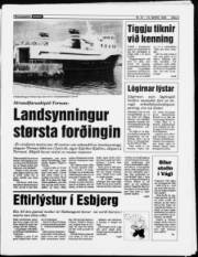 Síða 3