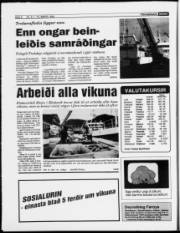 Síða 6