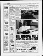 Síða 9