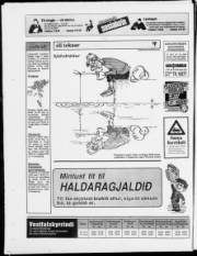 Síða 24