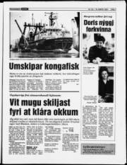 Síða 7