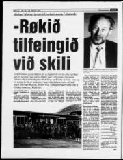Síða 12