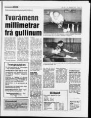 Síða 15