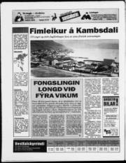 Síða 20