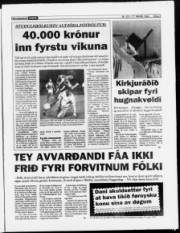 Síða 3