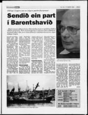 Síða 5