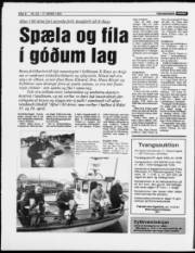 Síða 8