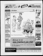 Síða 20