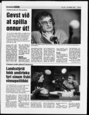 Síða 3