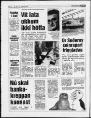 Síða 4