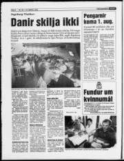 Síða 6