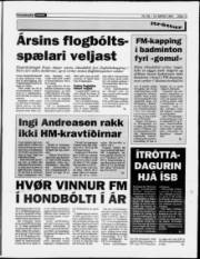 Síða 13