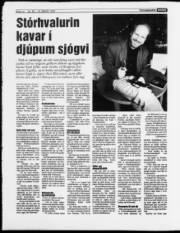 Síða 14