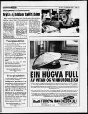 Síða 17