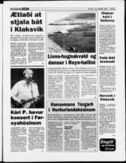 Síða 3