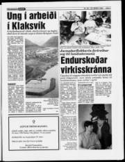 Síða 7