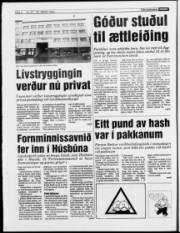 Síða 6