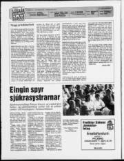 Síða 2
