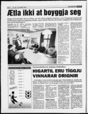Síða 4