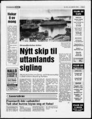Síða 5