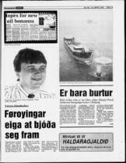 Síða 13
