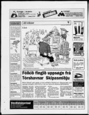 Síða 20