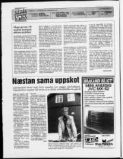 Síða 2