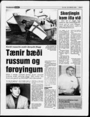 Síða 5