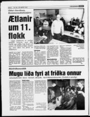 Síða 6