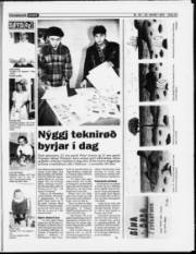 Síða 23